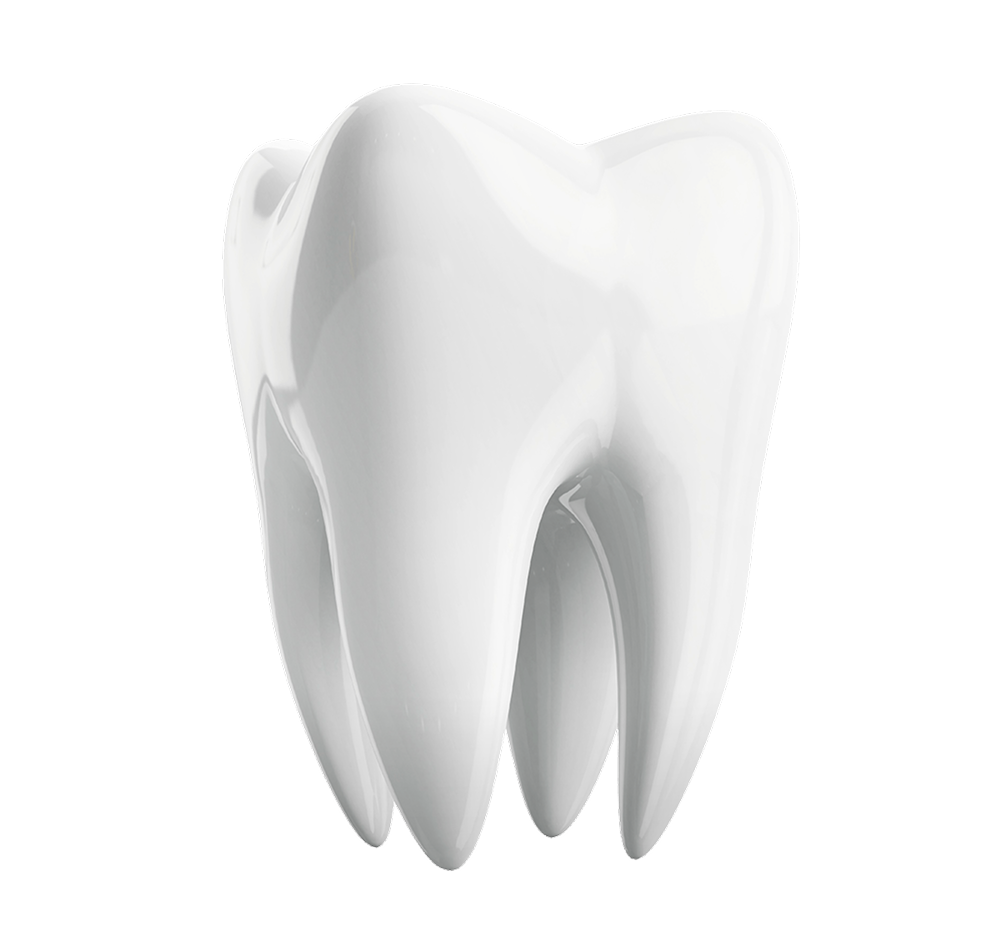 Tooth Modal