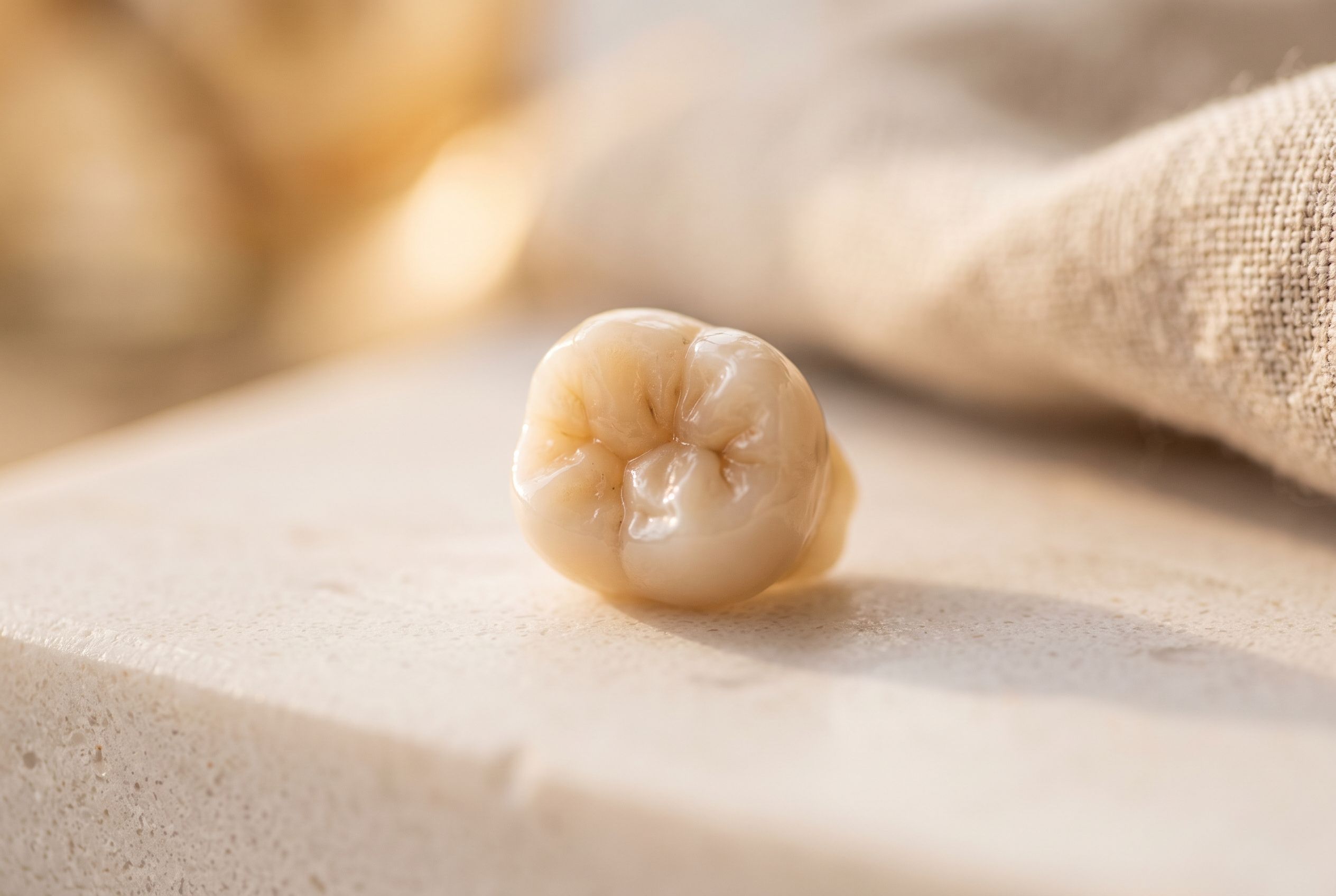 Dental Crown Close-Up